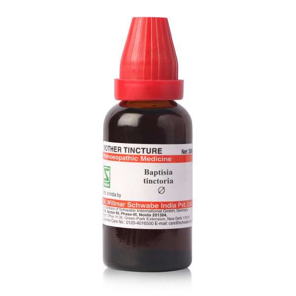 Dr Willmar Schwabe India Baptisia tinctoria Mother Tincture Q