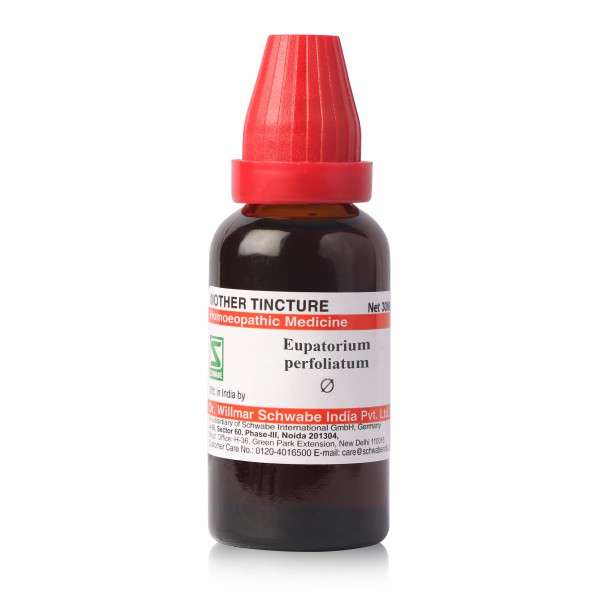Dr Willmar Schwabe India Eupatorium Perfoliatum Mother Tincture Q